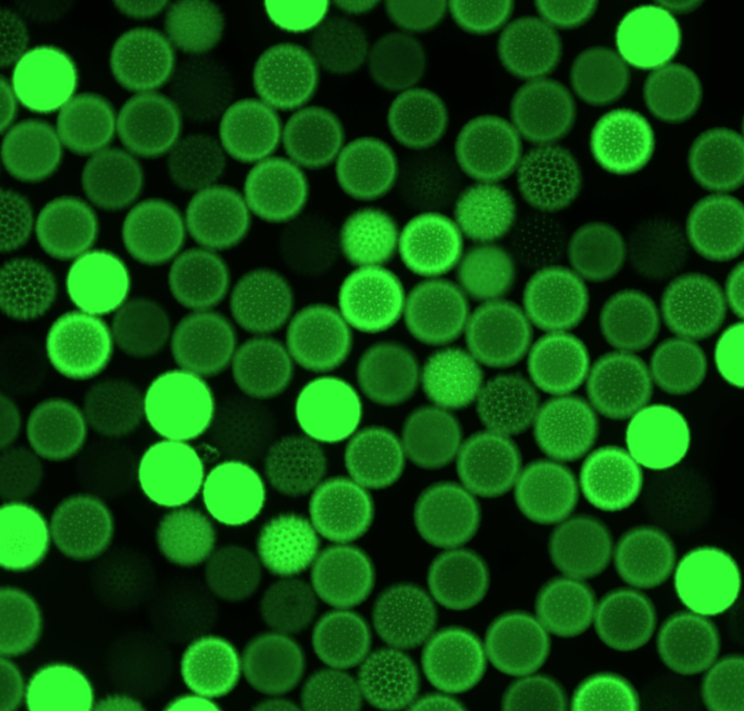 1757672038635020.png 1757672038635020.png